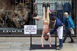 PETA Anti-Leather Display