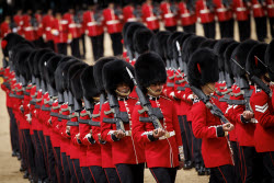 The Brigade Major's Review in London