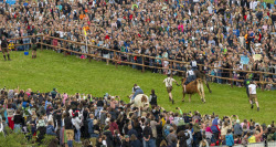 First oxen race in Hadorf