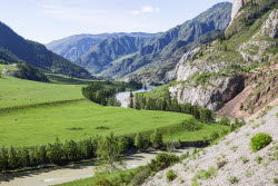 Виды Республики Алтай