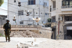 Israeli military operation in West Bank's Tulkarem