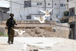 Israeli military operation in West Bank's Tulkarem