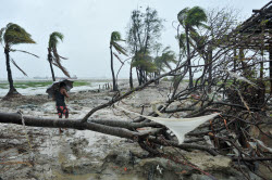Cyclone Shakti'S Impact In Bangladesh