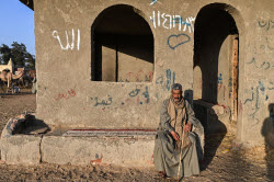 Birqash camel market ahead of Eid Al-Adha in Egypt