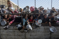 Palestinians gather to receive aid amid shortage of food
