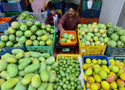 Mango festival at Lalbagh Botanical Garden, Bangalore