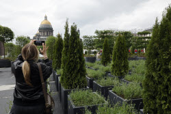 Повседневная жизнь в Санкт-Петербурге