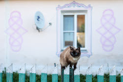 Village of Parizh in Chelyabinsk Region, Russia