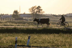 Village of Parizh in Chelyabinsk Region, Russia