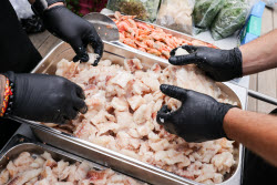Food festival Moscow Rides the Wave. The Fish Week