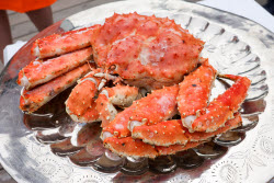 Food festival Moscow Rides the Wave. The Fish Week