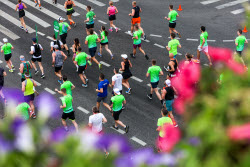 Green Marathon in Moscow