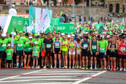 Green Marathon in Moscow