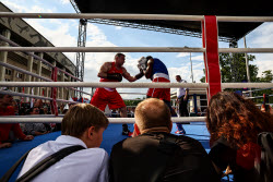 Luzhniki hosts Moscow Sports Day