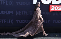 Фестиваль Netflix Tudum в Инглвуде
