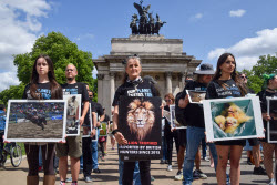 National Animal Rights Day 2025