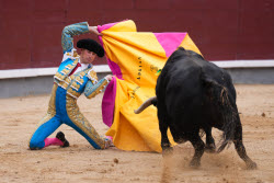 Bullfighting at Las Ventas