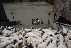 India Kashmir Eid-al-Adha