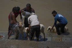India Kashmir Eid-al-Adha