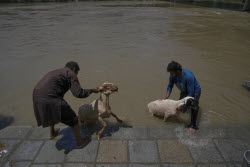India Kashmir Eid-al-Adha