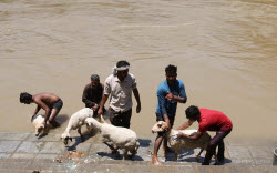 Preparations ahead of Eid al-Adha in Srinagar