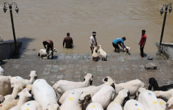 Preparations ahead of Eid al-Adha in Srinagar