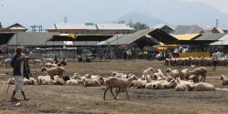 Preparations ahead of Eid al-Adha in Srinagar