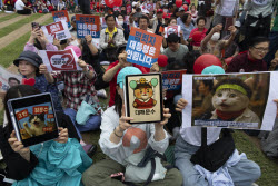 South Korean Presidential candidate Kim Moon-soo's election campaign in Seoul