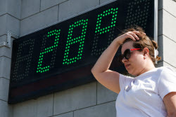 Лето в Новосибирске