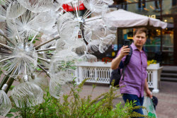 Повседневная жизнь в Москве