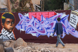 Senegal artists protest Israel's so-called livestock donation with murals