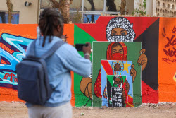 Senegal artists protest Israel's so-called livestock donation with murals