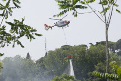 Incendio A Monte Mario