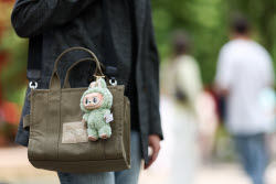 Labubu toys