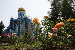 Лето в Луганске