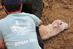 Празднование Курбан-байрама в Казани