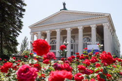 (+VIDEO) Roses in bloom in Donetsk