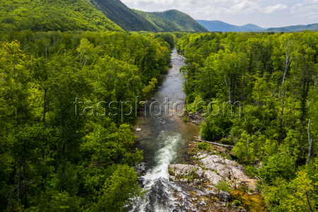 Sikhote-Alin Nature Reserve in Primorye Territory, Russia