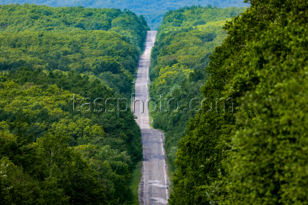 Sikhote-Alin Nature Reserve in Primorye Territory, Russia