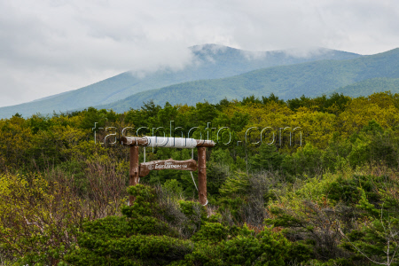 Sikhote-Alin Nature Reserve in Primorye Territory, Russia