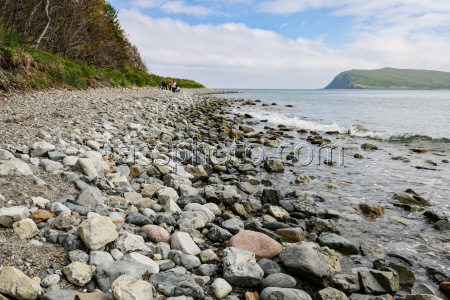Sikhote-Alin Nature Reserve in Primorye Territory, Russia