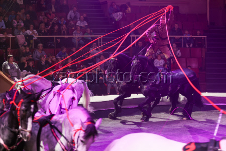 Clown circus show premieres in Lugansk