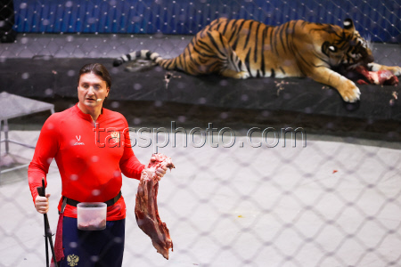 Open rehearsal at Great Moscow Circus