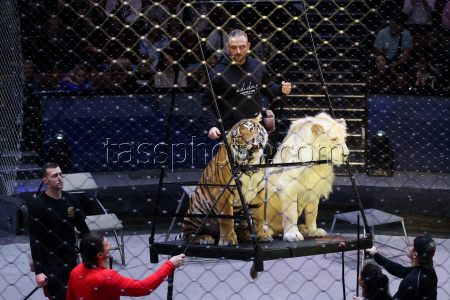 Open rehearsal at Great Moscow Circus