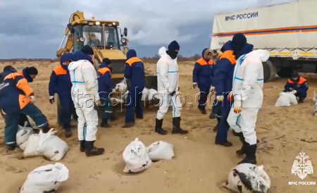 Oil spill clean-up in Russia's Krasnodar Region and Crimea