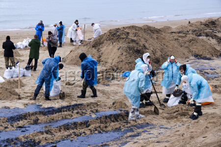 Oil spill clean-up of Anapa beaches
