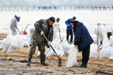 Oil spill clean-up of Anapa beaches