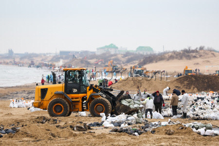 Oil spill clean-up of Anapa beaches