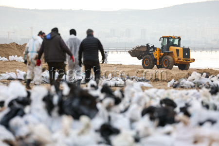 Oil spill clean-up of Anapa beaches