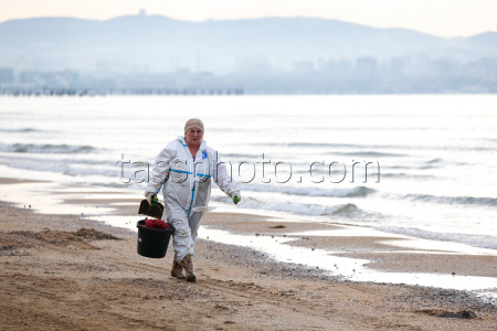 Oil spill clean-up of Anapa beaches
